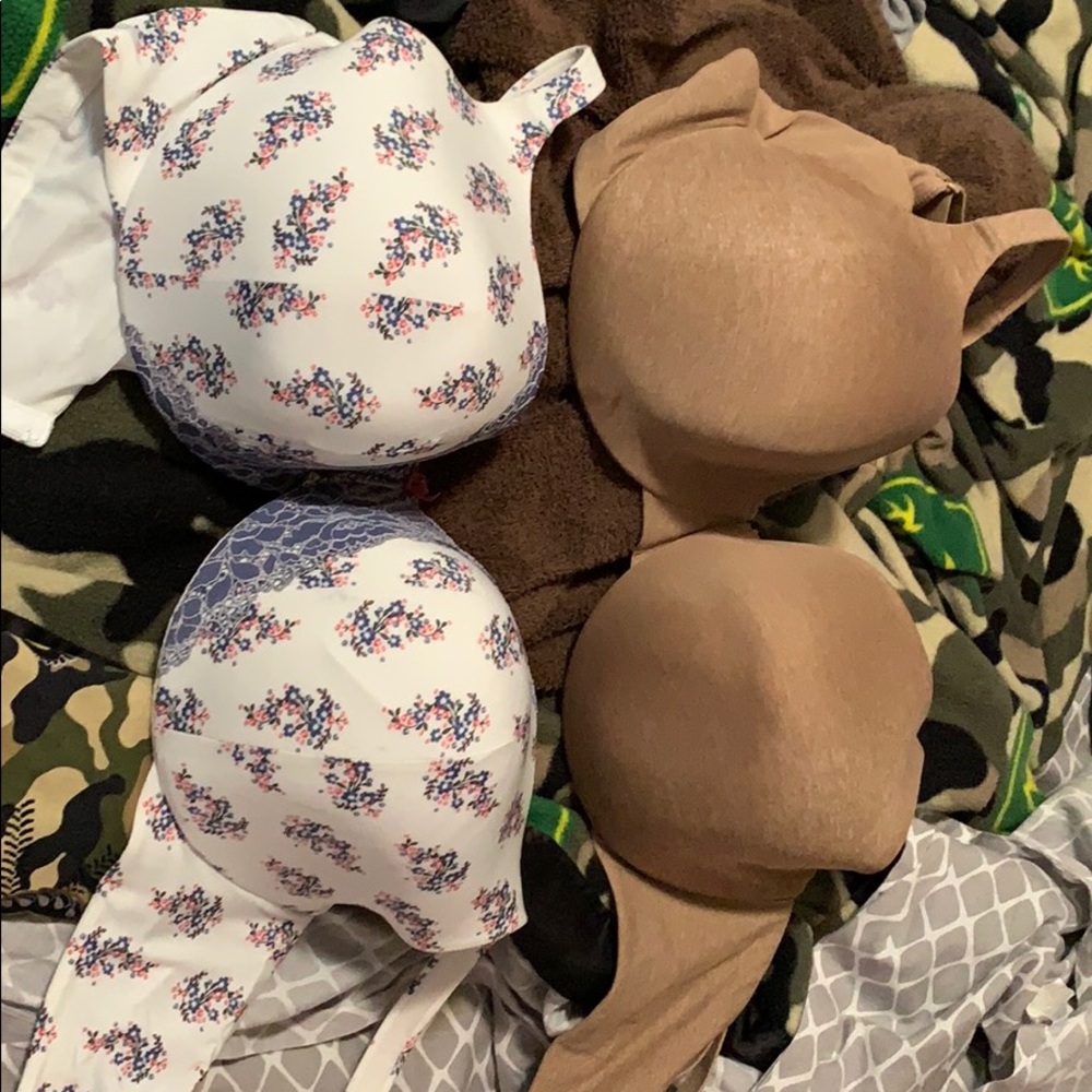 Layne Bryant Bras